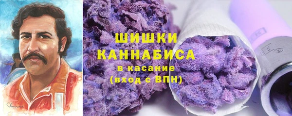 эйфоретик Анжеро-Судженск