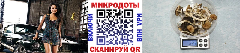 Псилоцибиновые грибы Magic Shrooms Вышний Волочёк
